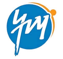 Partner 6